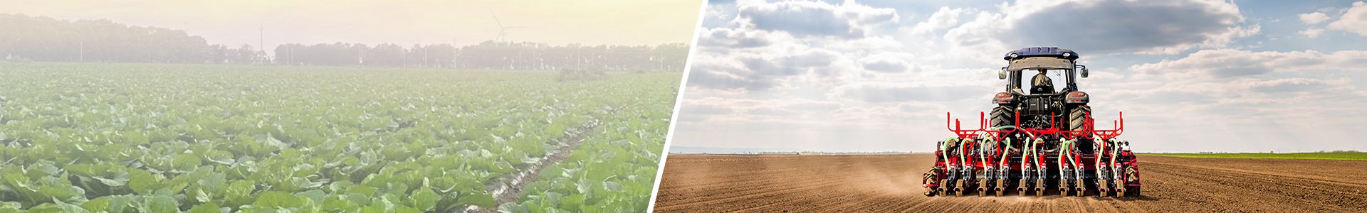 青岛大顺精锋工贸有限公司